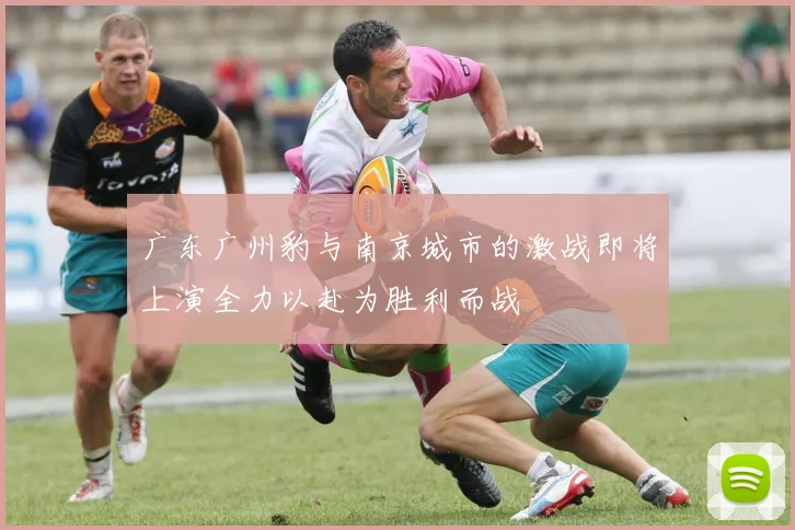 广东广州豹与南京城市的激战即将上演全力以赴为胜利而战