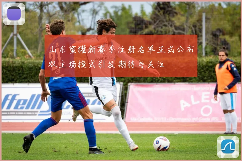 山东蜜獾新赛季注册名单正式公布双主场模式引发期待与关注