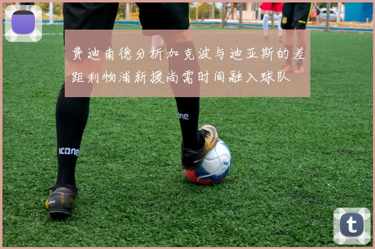 费迪南德分析加克波与迪亚斯的差距利物浦新援尚需时间融入球队